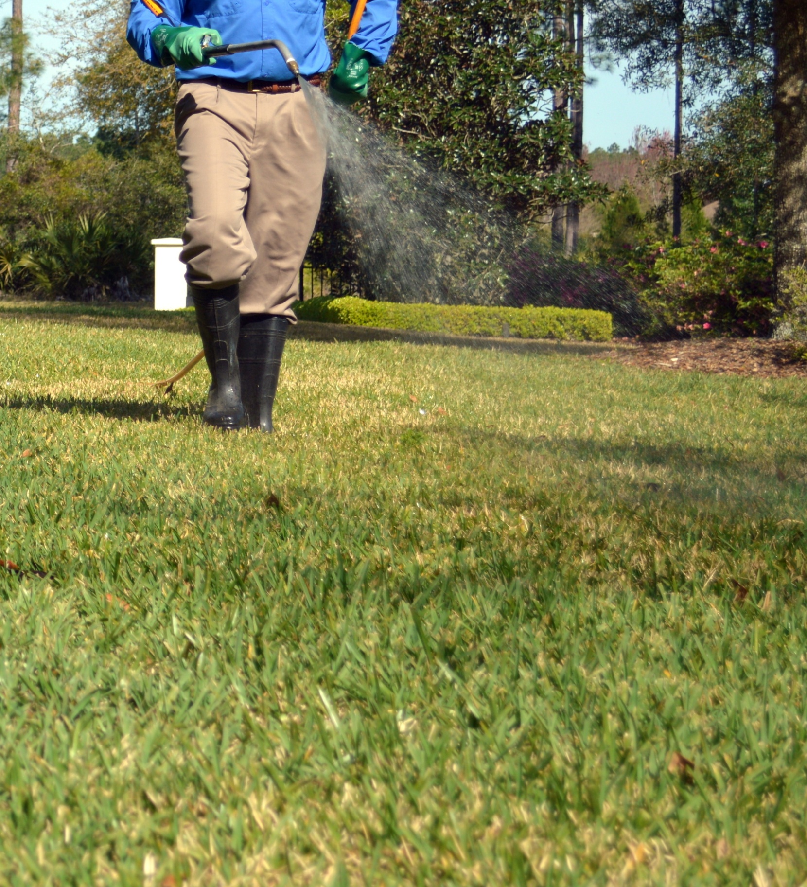Weed control