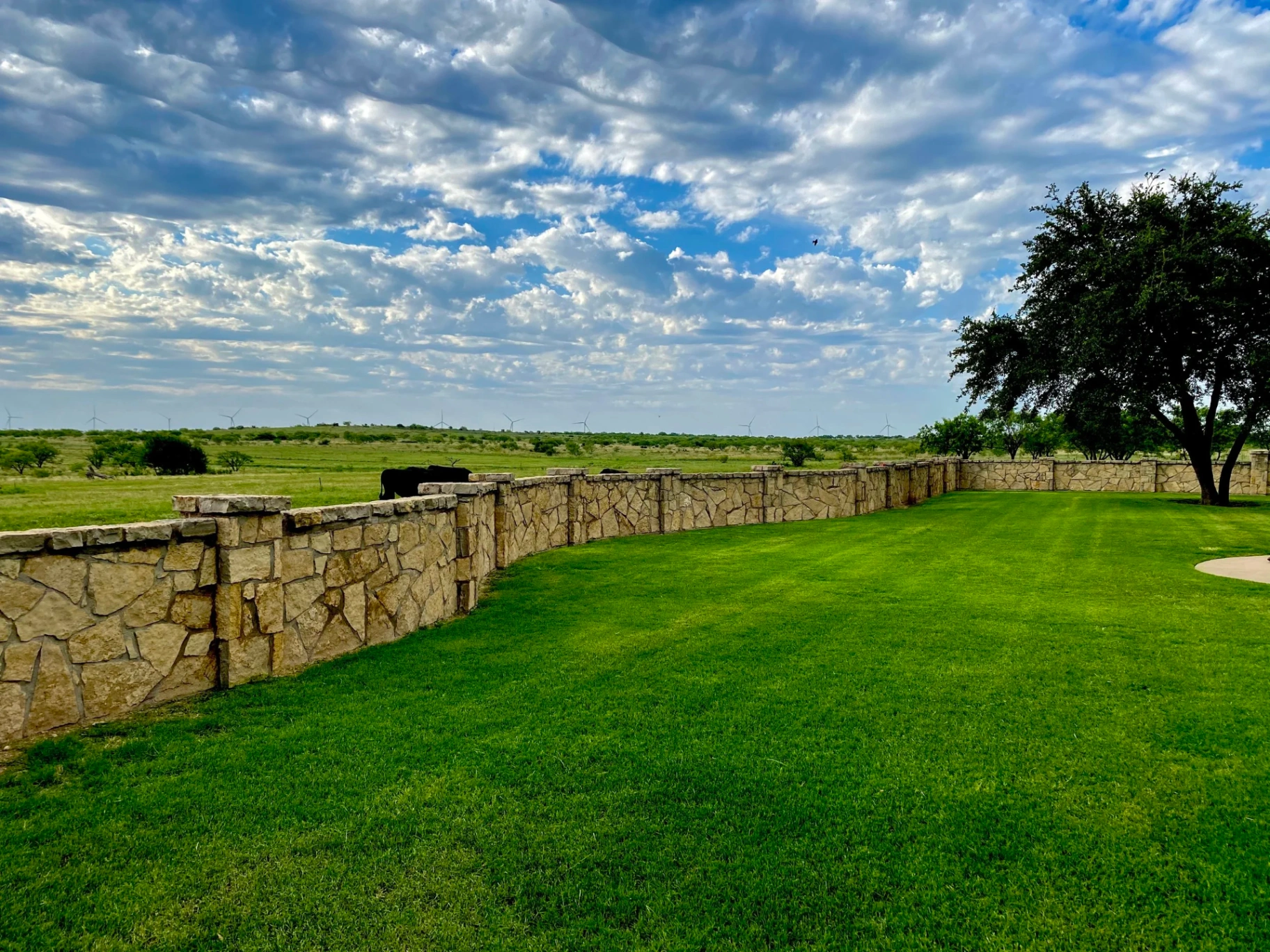 West Texas yard